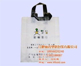 桐城環保袋 麗霞日用品廠的綠色制造與品牌之路